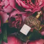 Bouquet of Pink Roses